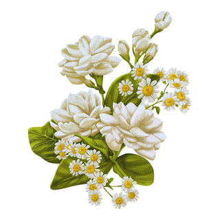 Jasmine in perfumery