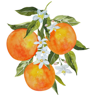 Orange Blossom in Perfumery