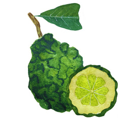 Bergamot