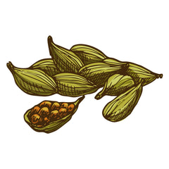 Cardamom