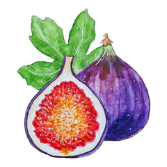 Fig