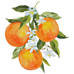 Orange Blossom