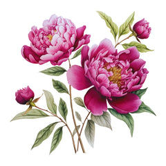 Peonies